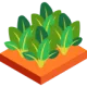 Farming