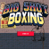 Big Shot Boxing